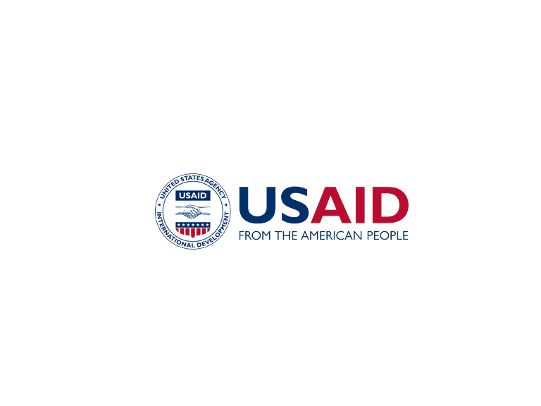 USAID logo (light)